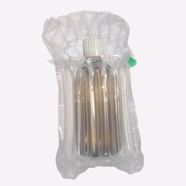 half_bottle_bag_withbottle Pharmacy bottle inside inflatable bag
